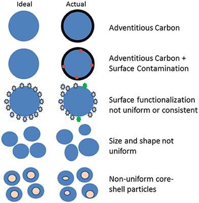 The Chameleon Effect: Characterization Challenges Due to the Variability of Nanoparticles and Their Surfaces